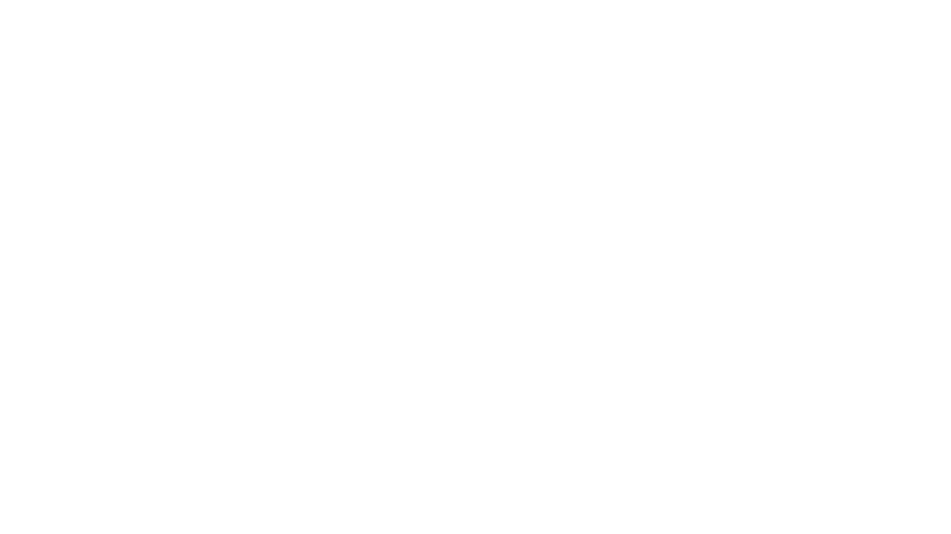 NAMI Logo White