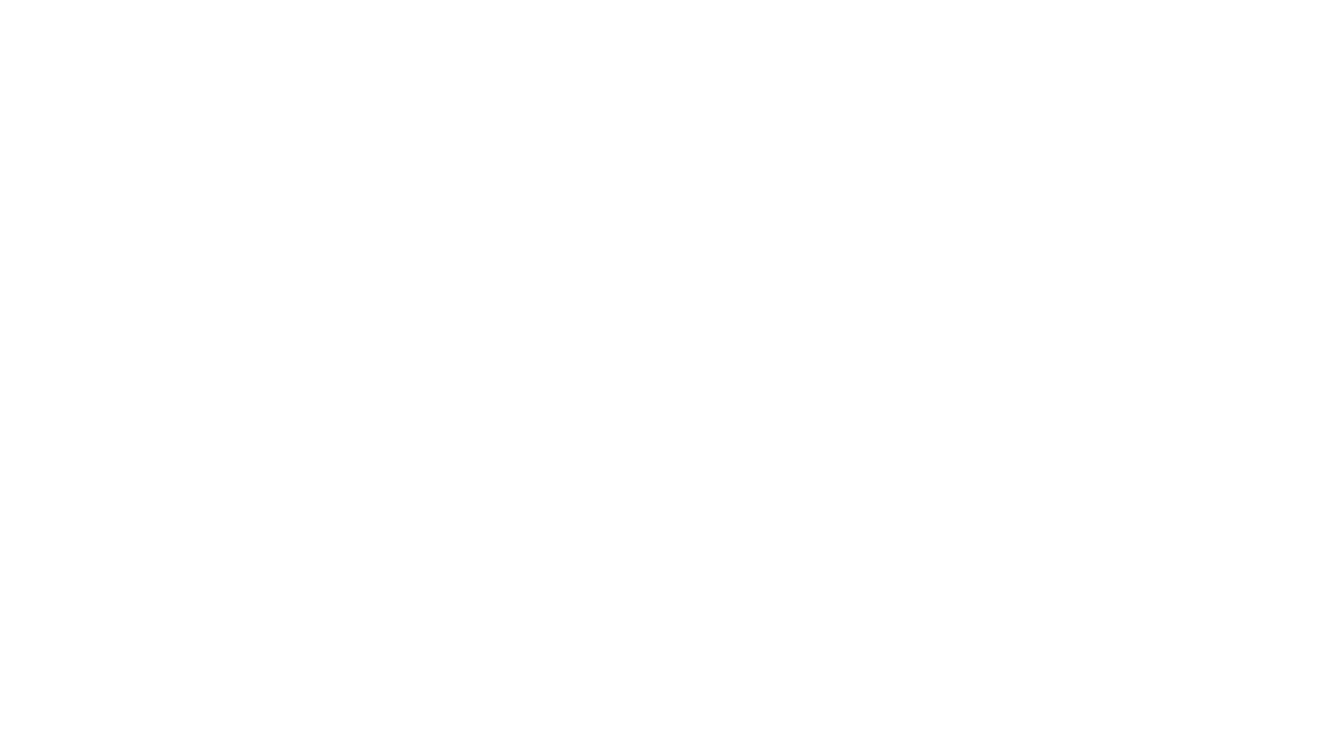 WVSD Logo White