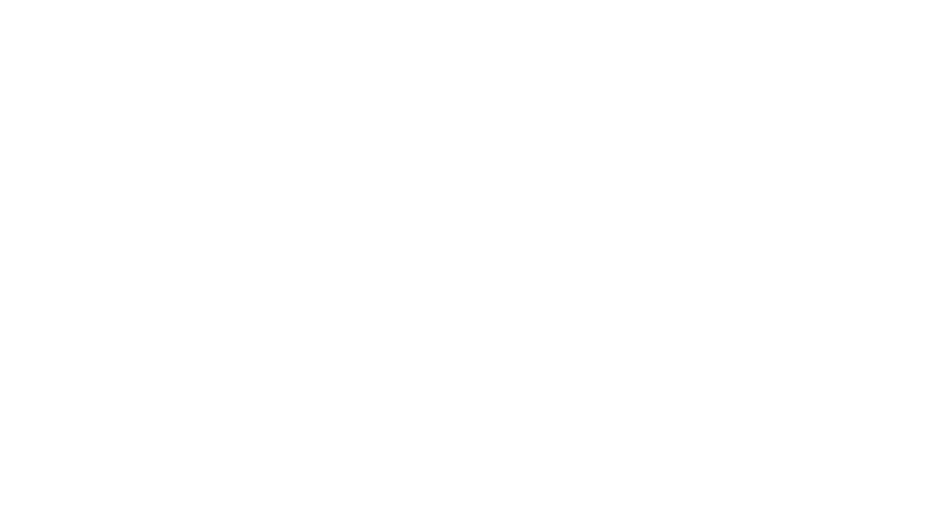 CT Logo White