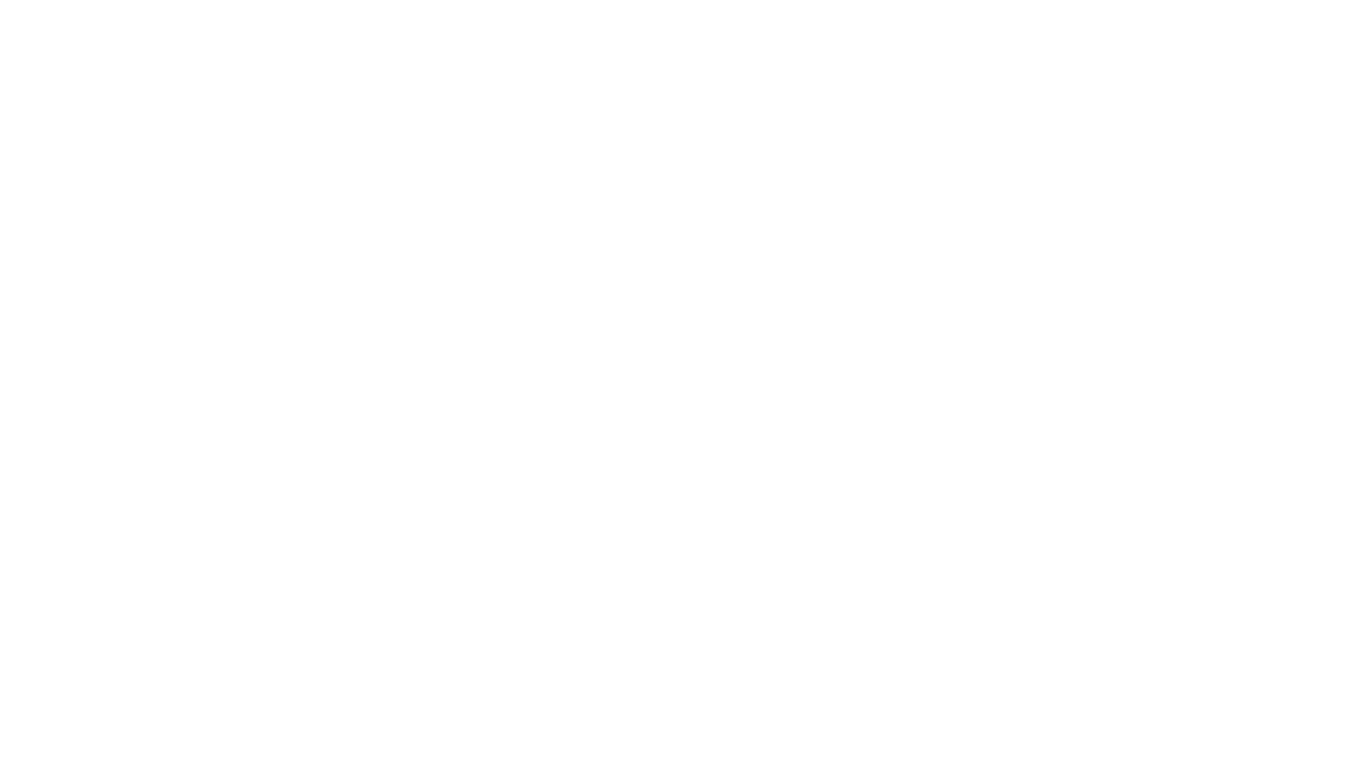 Salud Logo White